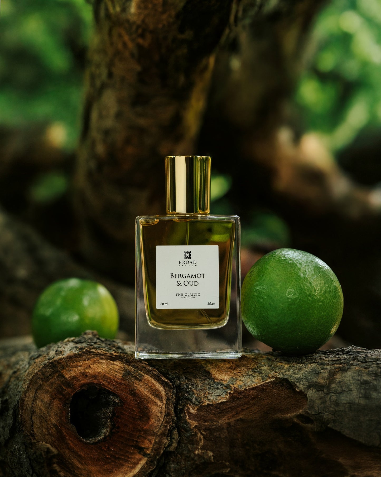 Bergamot & Oud