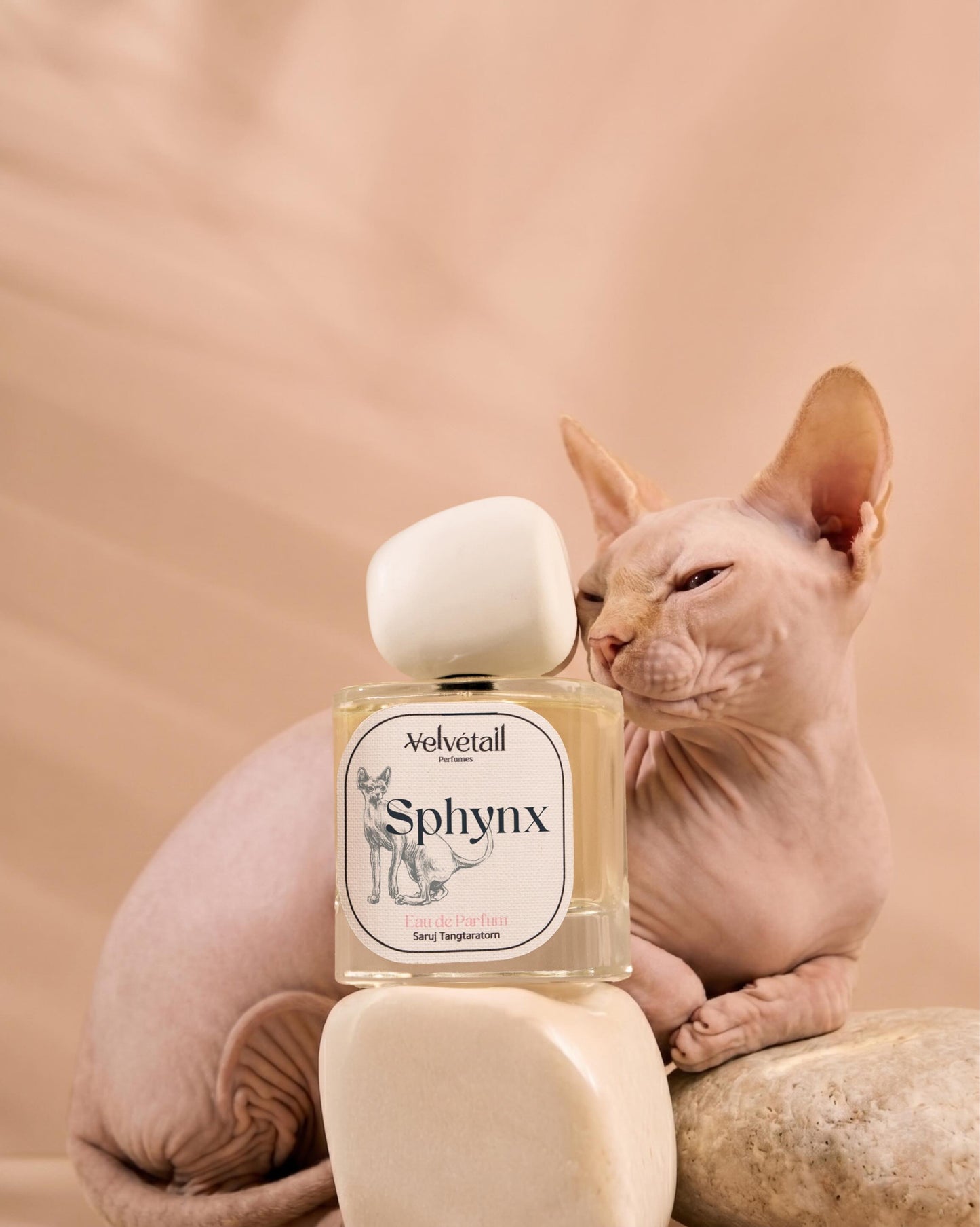 Sphynx