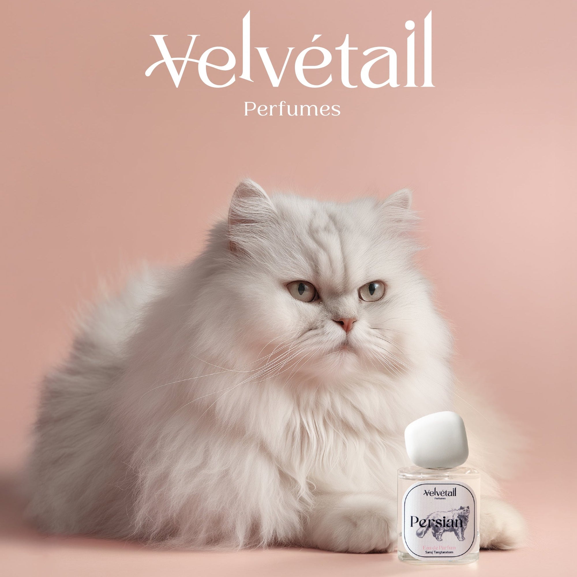 Velvétail