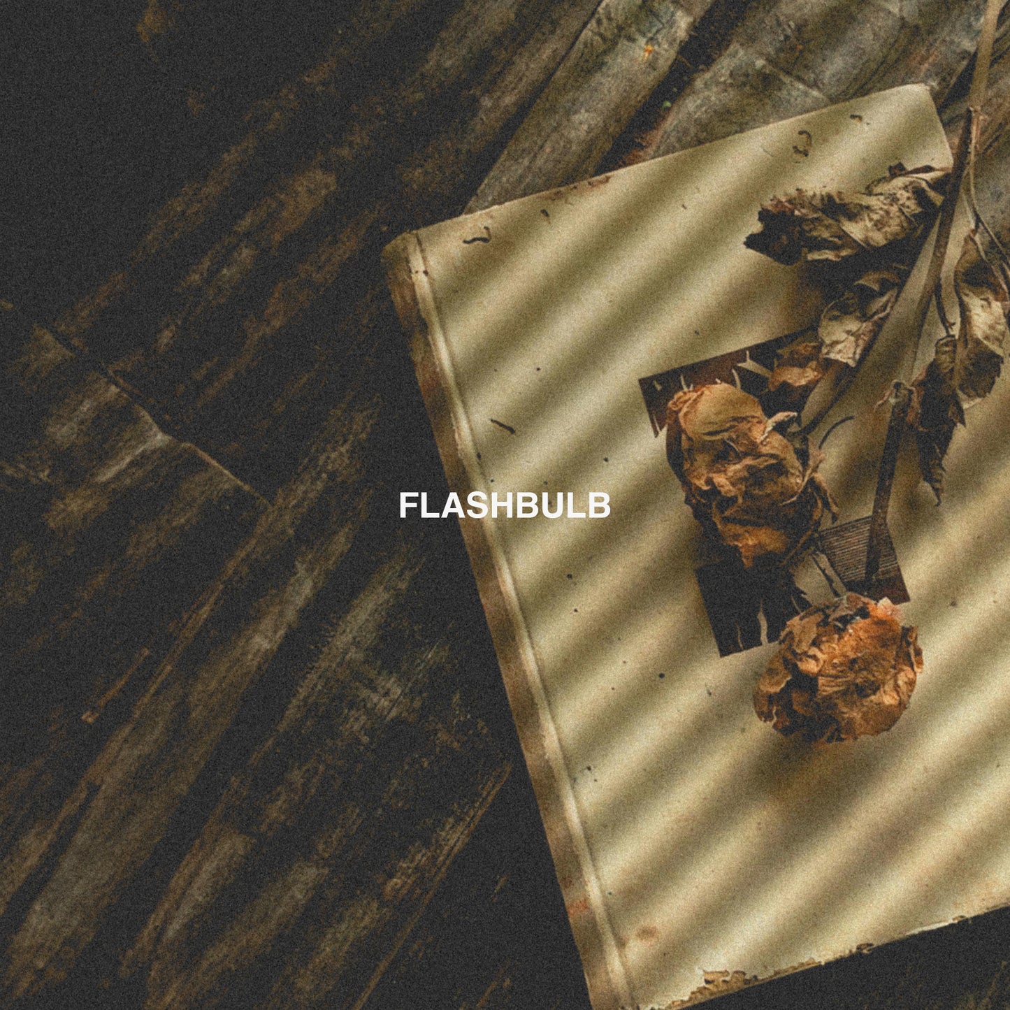 FLASHBULB